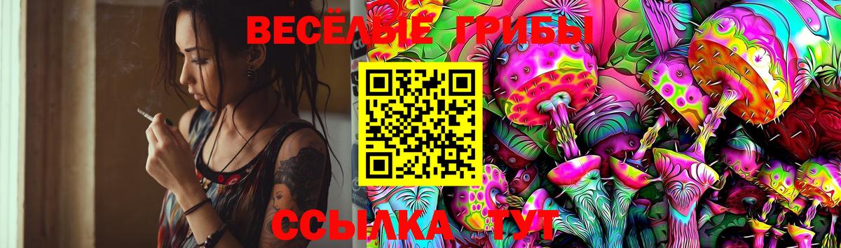 Псилоцибиновые грибы GOLDEN TEACHER Северобайкальск